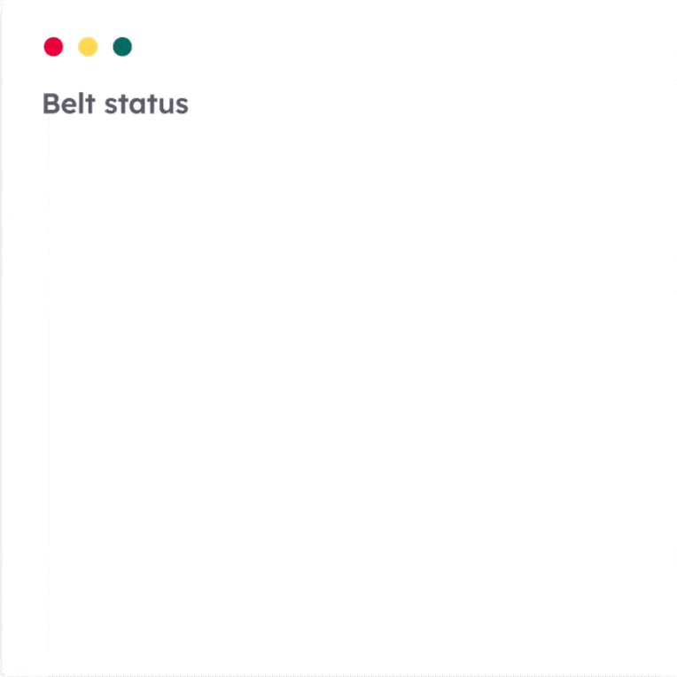 belt status-min