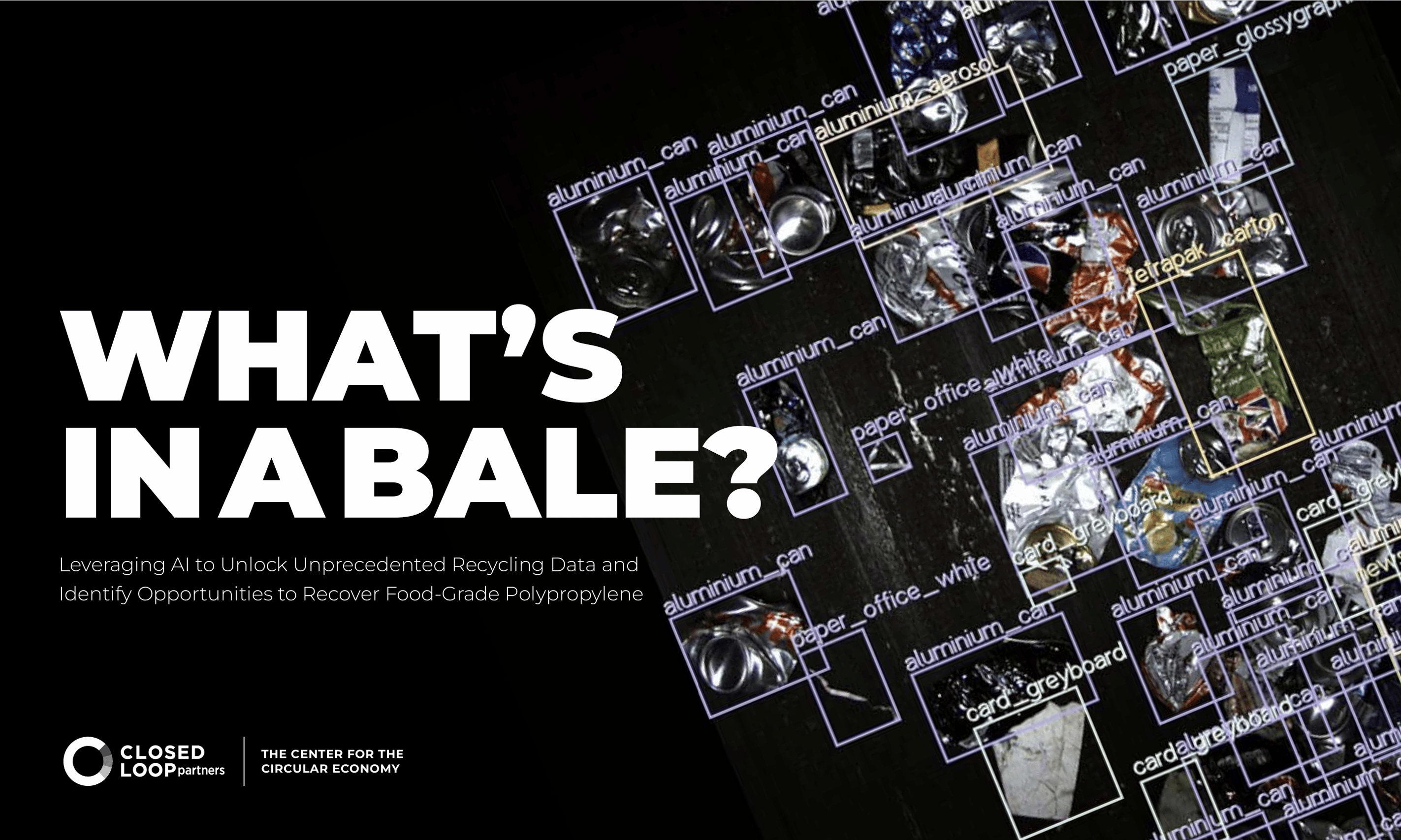 Whats in a bale - PP report