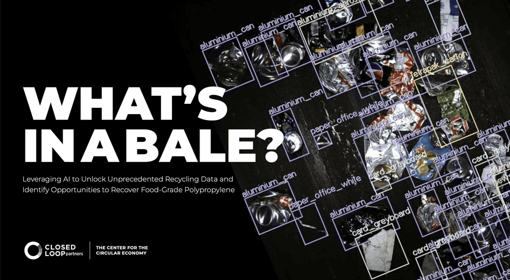 Whats in a bale_-1 (1)