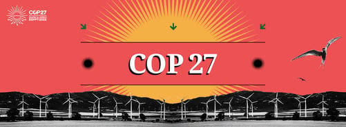 Takeaways from COP27: The need for a circular economy action plan