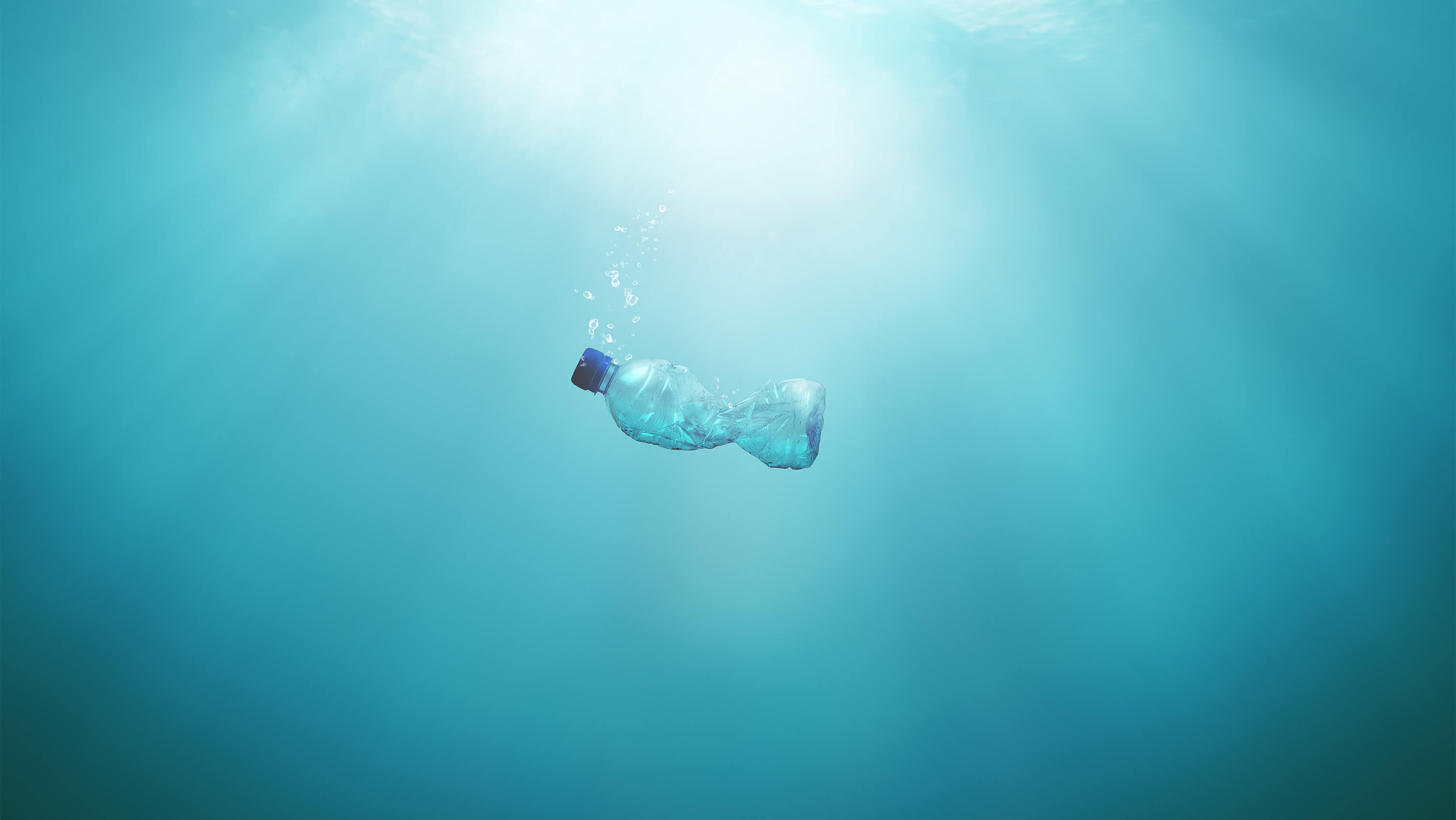 AdobeStock_297676862 copy 2-1