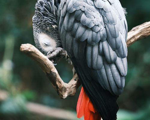 GPthomas-millot-vg6PZkjL1io-unsplash-copy