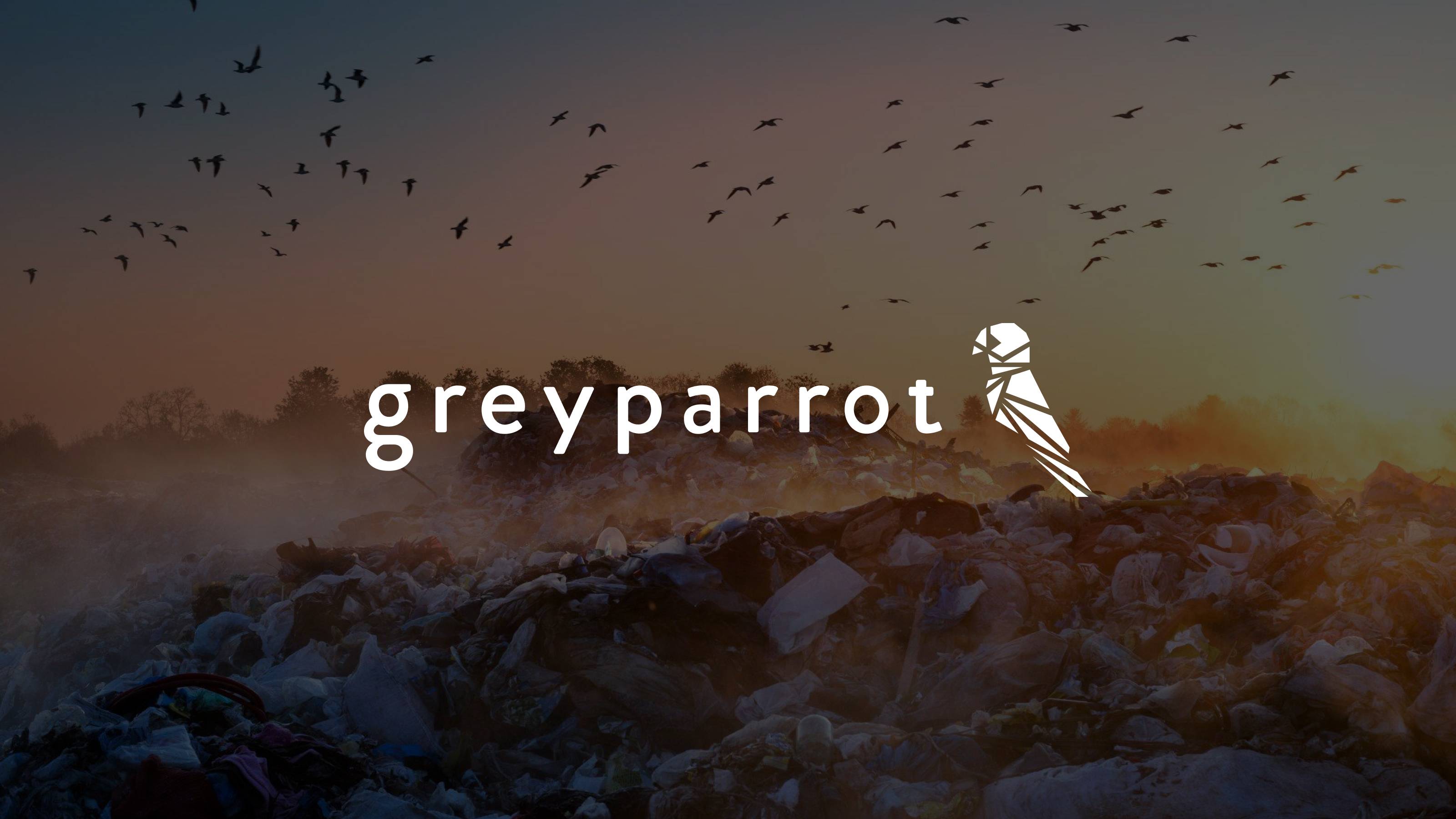 Unlock the power of AI waste analytics | Greyparrot waste intelligence