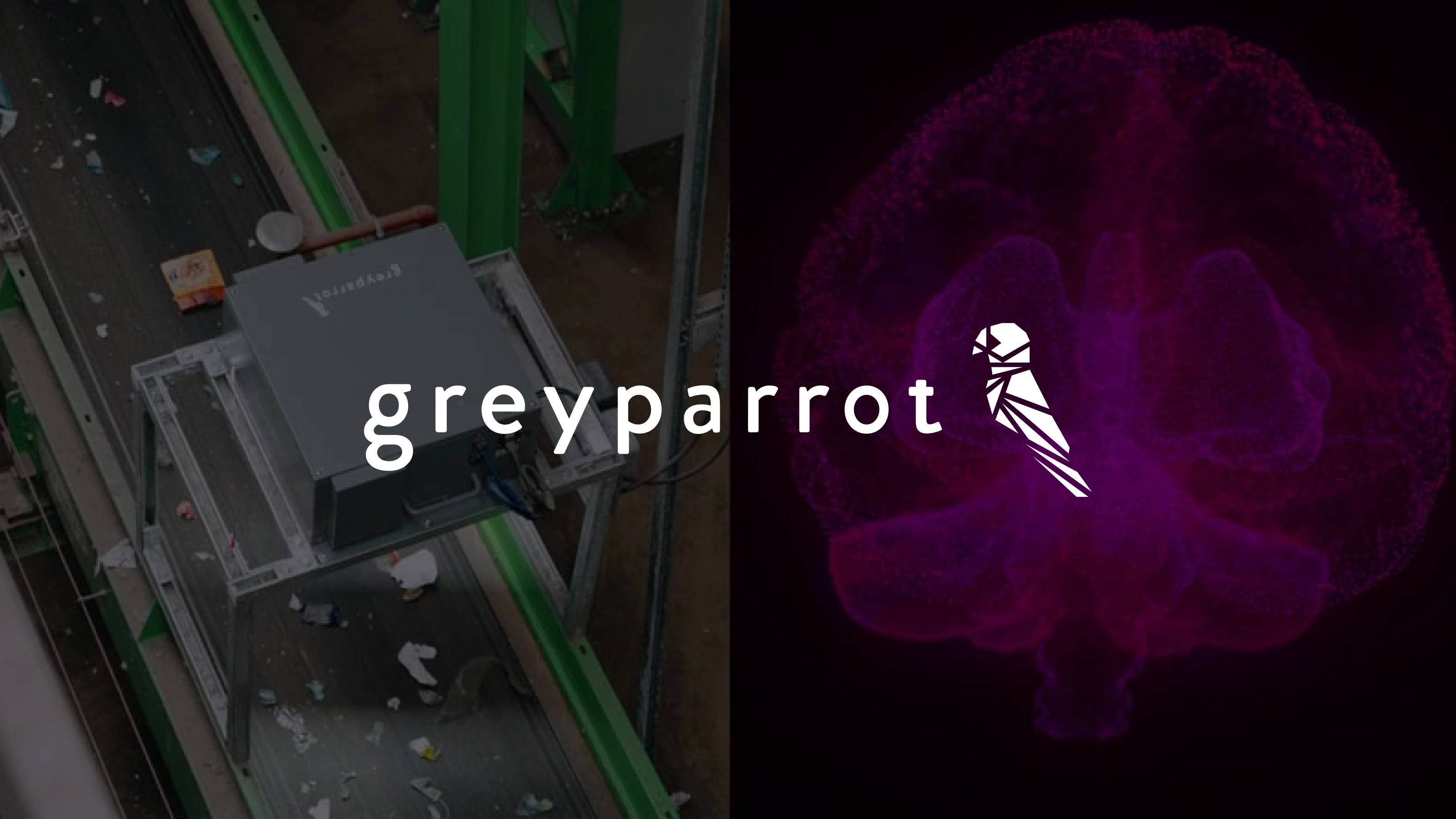 Greyparrot Sync