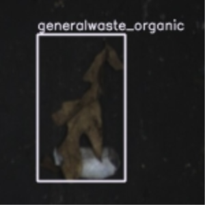 organic 1-1