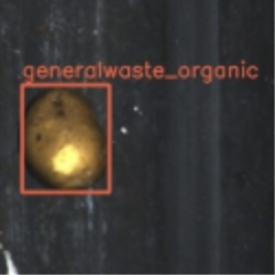organic 3-1